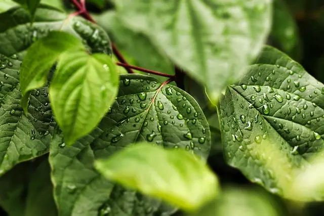 Best Sustainable Products for Eco-Friendly Living