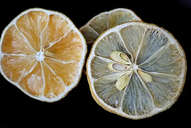 Health Benefits of Food Dehydrators