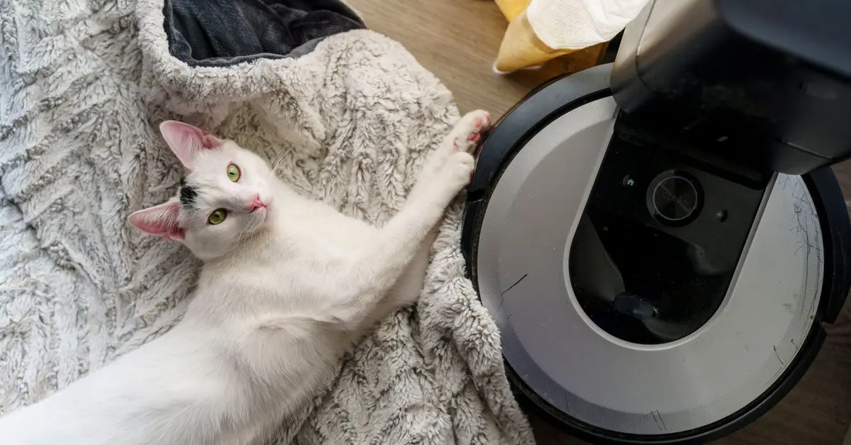 Best Vacuum Cleaners for Pet Hair: A Complete Buying Guide